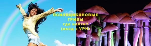 ECSTASY Лагань