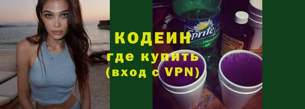 ECSTASY Лагань