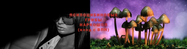 ешки Липки