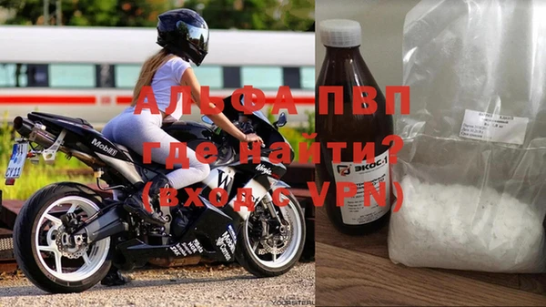 ECSTASY Лагань
