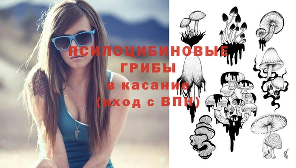 ешки Липки